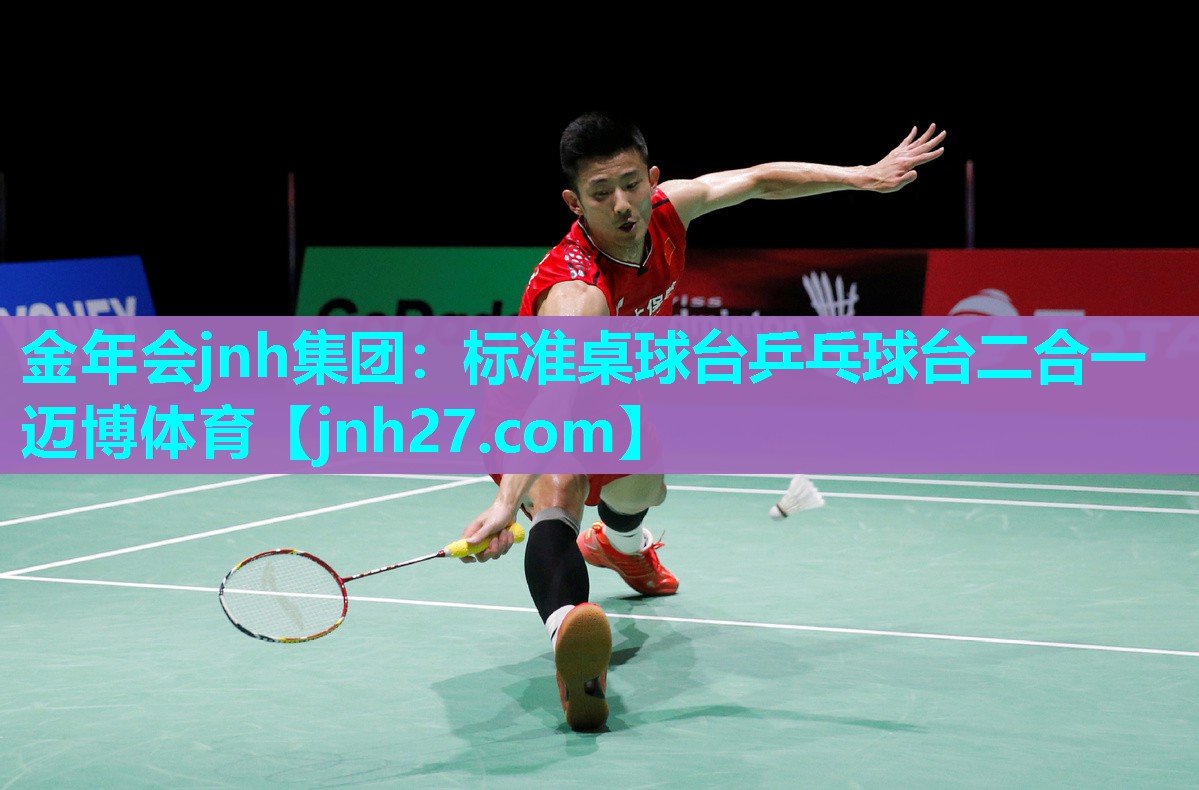 金年会jnh集团：标准桌球台乒乓球台二合一迈博体育