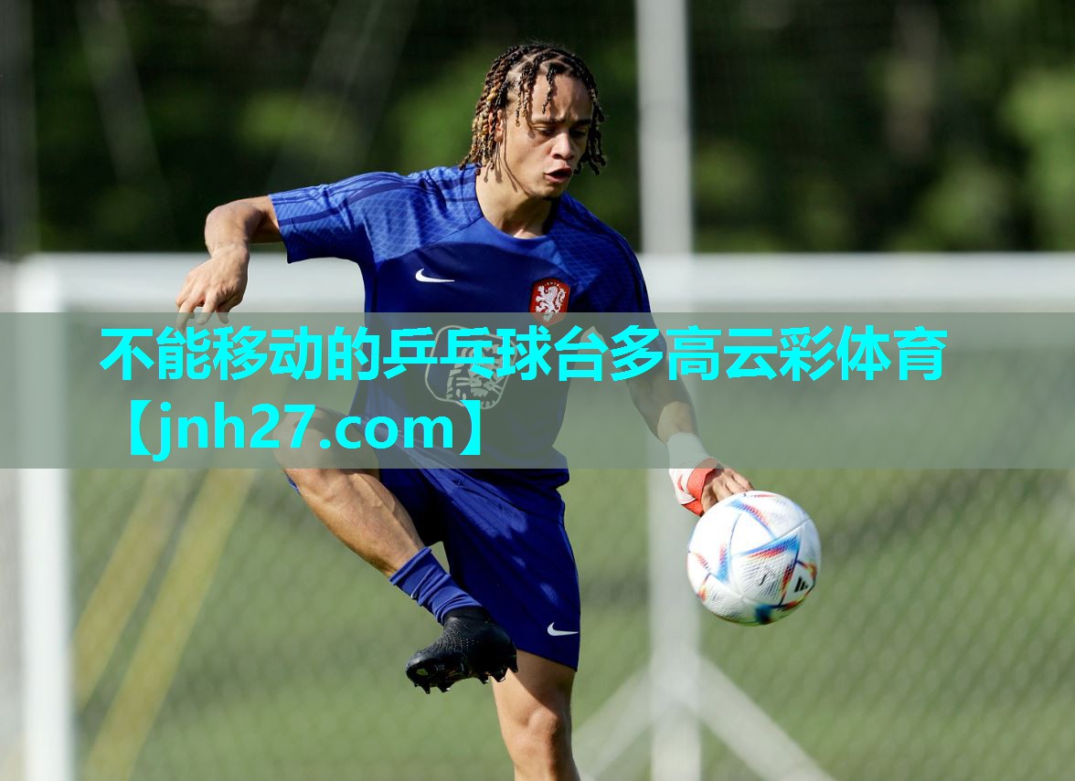 不能移动的乒乓球台多高云彩体育