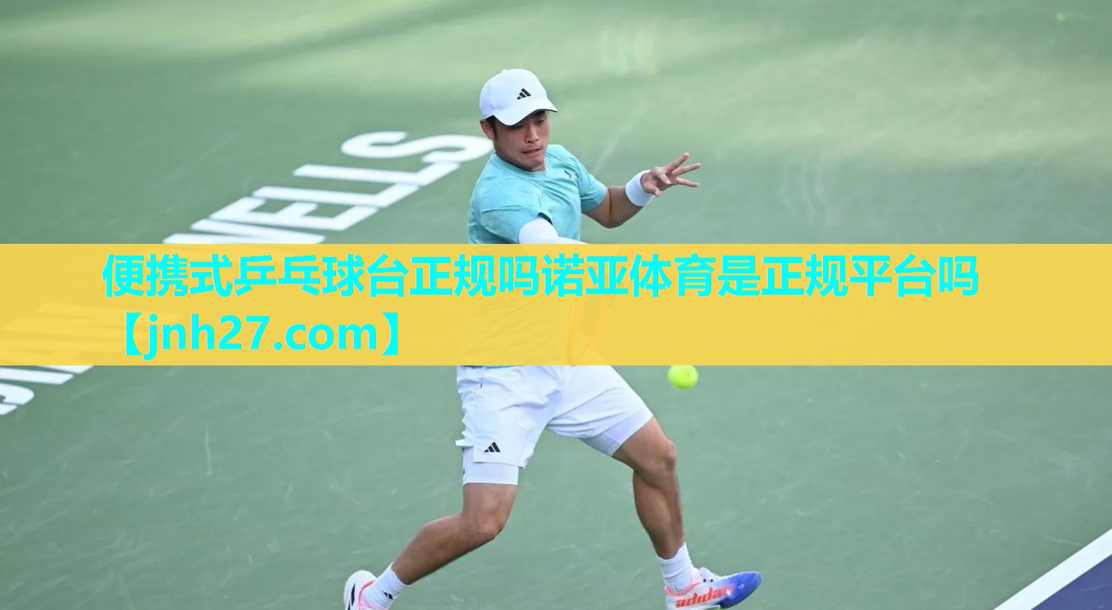 便携式乒乓球台正规吗诺亚体育是正规平台吗