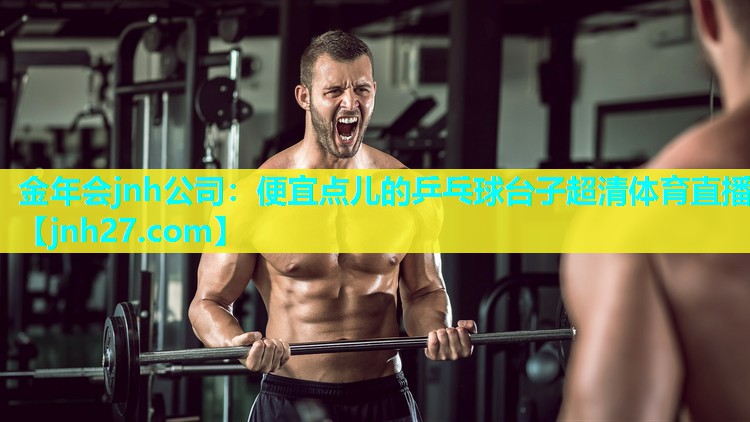 金年会jnh公司：便宜点儿的乒乓球台子超清体育直播
