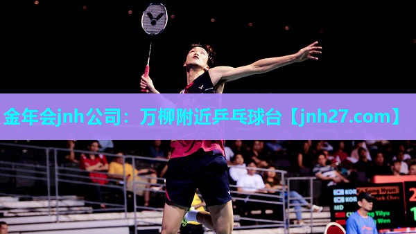 金年会jnh公司：万柳附近乒乓球台