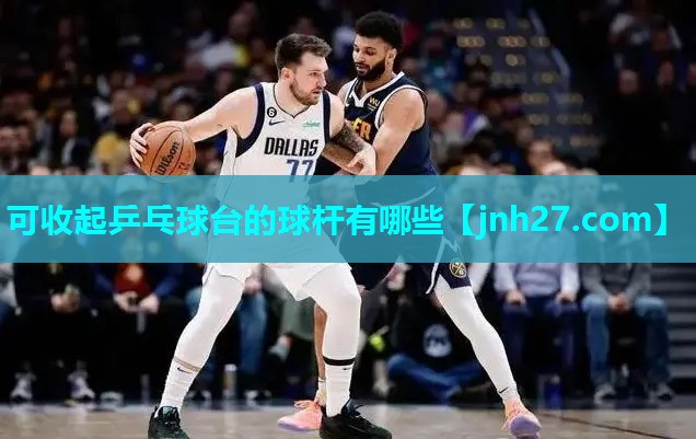 可收起乒乓球台的球杆有哪些