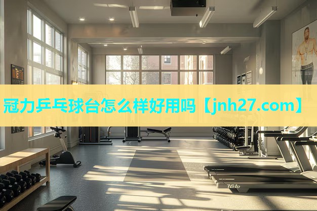 冠力乒乓球台怎么样好用吗