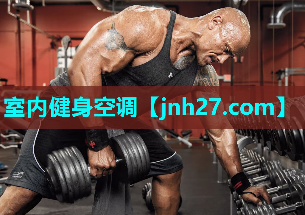 <strong>室内健身空调</strong>