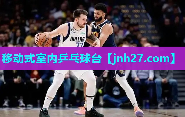 移动式室内乒乓球台